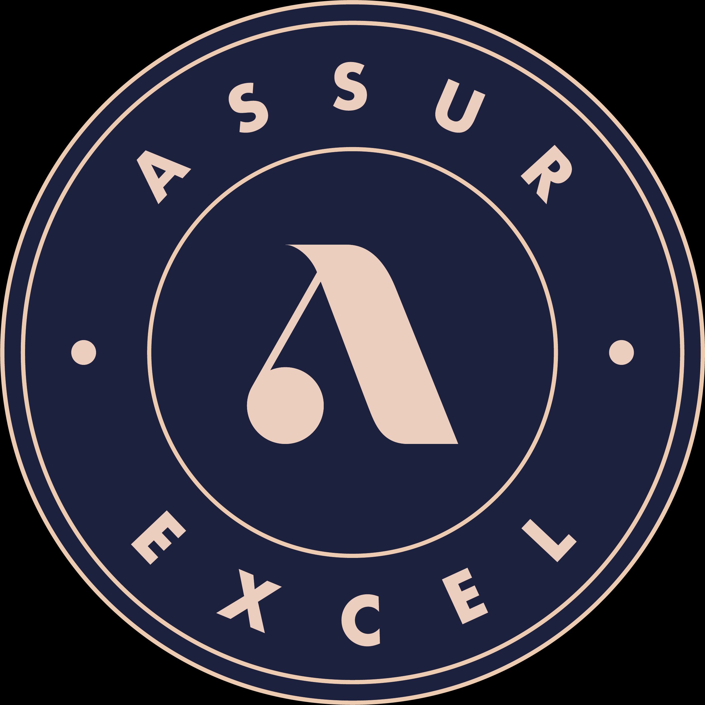 Assurexcel